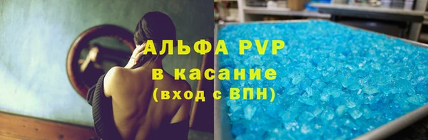трава Белокуриха