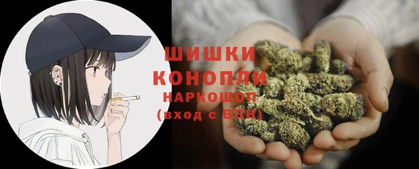 СК Богородицк