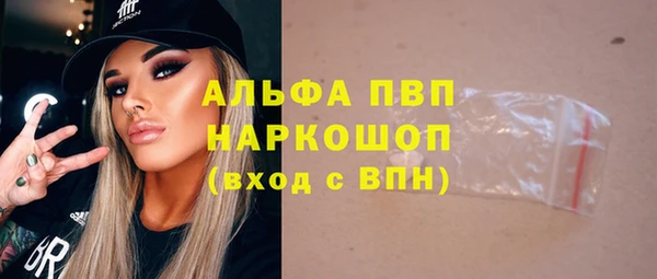 тгк Снежногорск