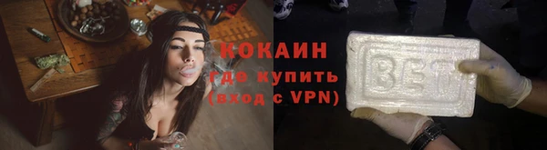 трава Белокуриха