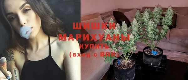 СК Богородицк