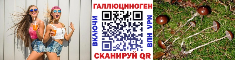 Галлюциногенные грибы мухоморы Большой Камень